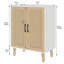Alwayne 2 -Door Accent Cabinet