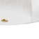 Jasmine Roth x Hunter 30 inch Brookside Fandelier Ceiling Fan with Lights and Remote