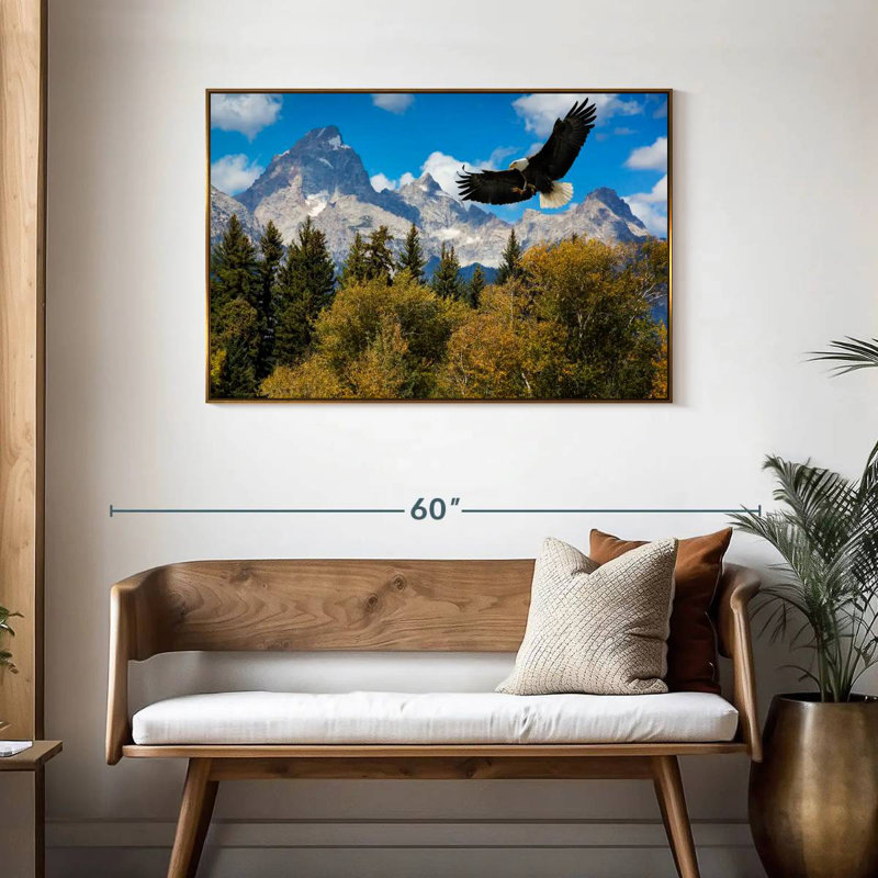 Grand Teton Eagle, Cadre flottant doré, 43 po x 29 po