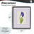 Purple Stripe Iris Floating Frame, design by Lisa Wehmeyer-630412161-630412160