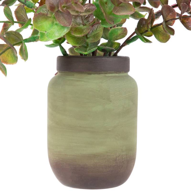 10 plantes