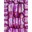 Radishes Print by Harold Davis-65795804-65795806
