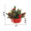 Arrangement floral de Noël en pot-1363947668-1363918559