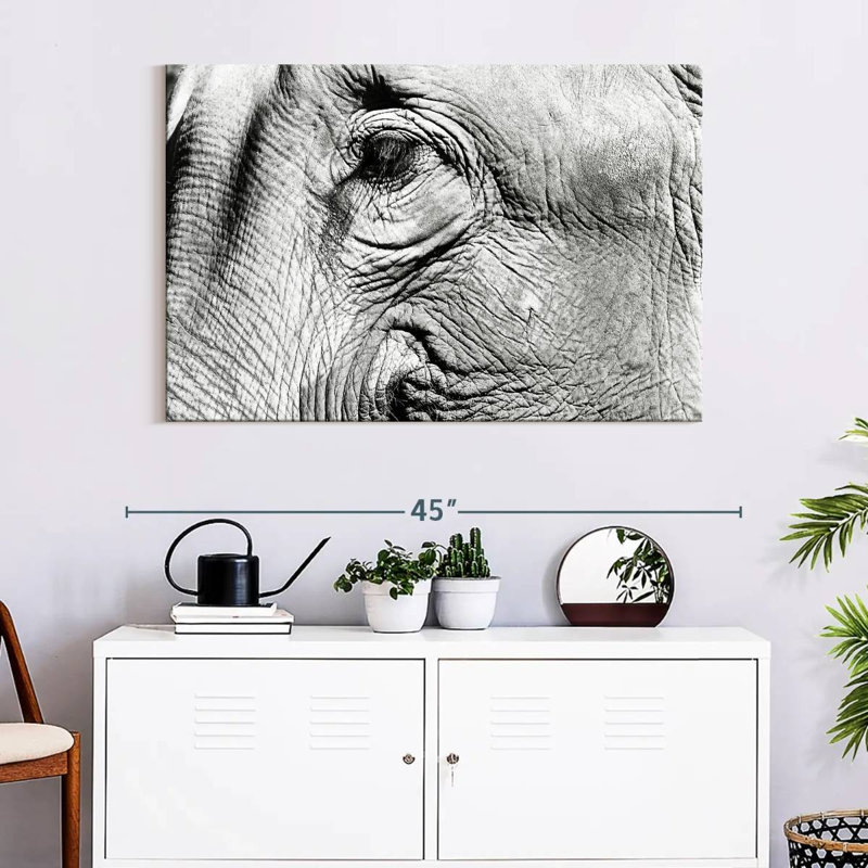 Brampt Elephant Close Up BW, 26" H x 39" W