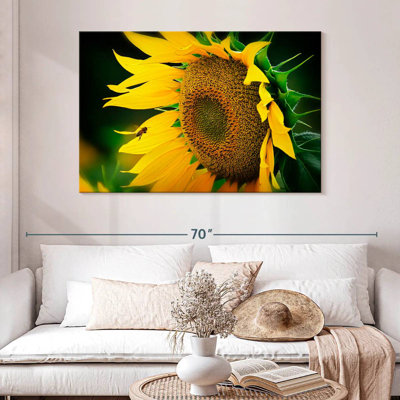 Abeille Harnek attirée par le tournesol