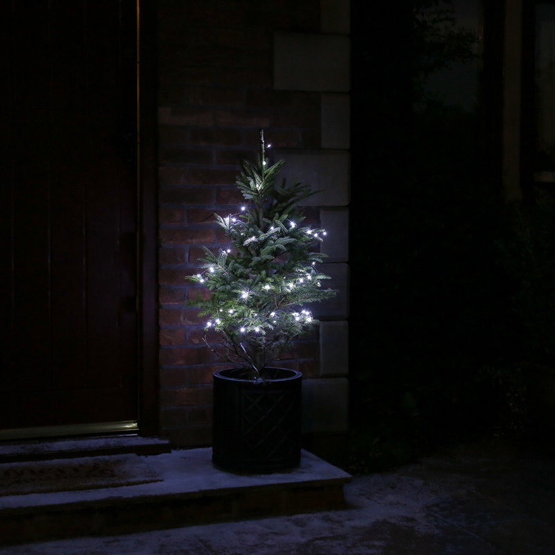 String Lights, White