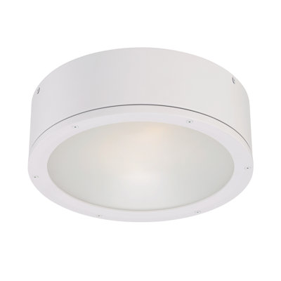 Tube 1 - Light Flush Mount