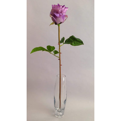 TIGE DE ROSE FRAÎCHEUR AU TOUCHER 25''