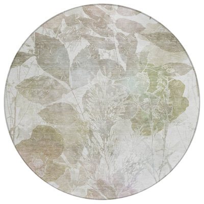 Machine Washable Indoor/Outdoor Chantille ACN2885 Botanical Rug