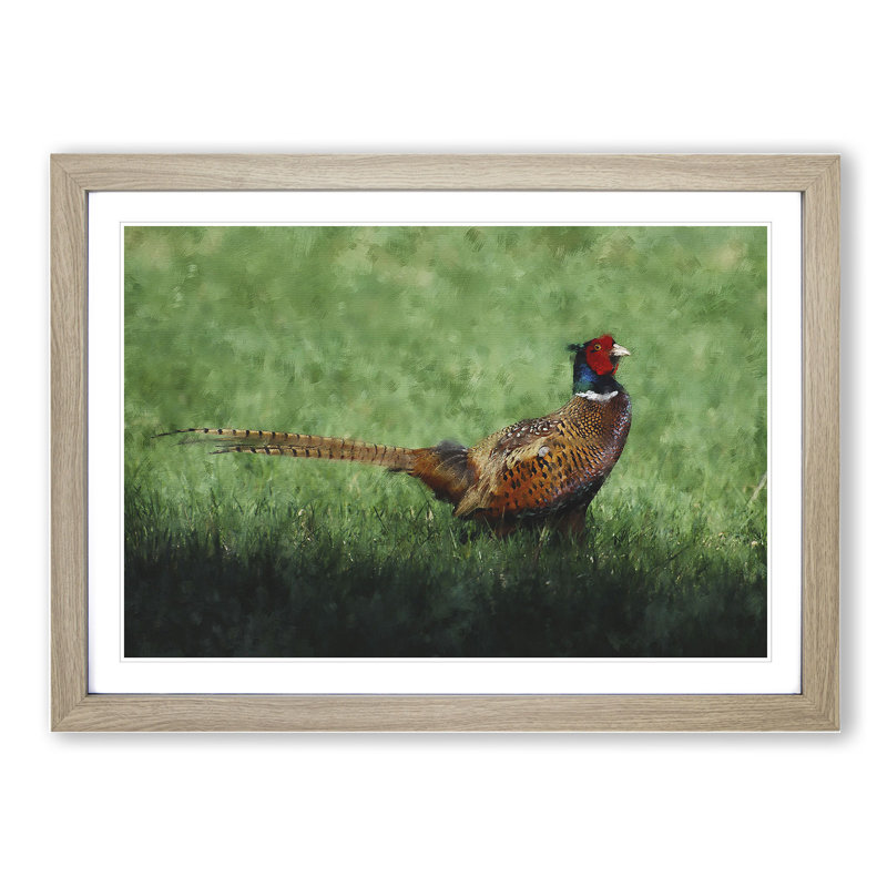 Pheasant Bird Vol.2 - Framed Print, 48cm H x 65cm W x 2cm D, Oak Framed