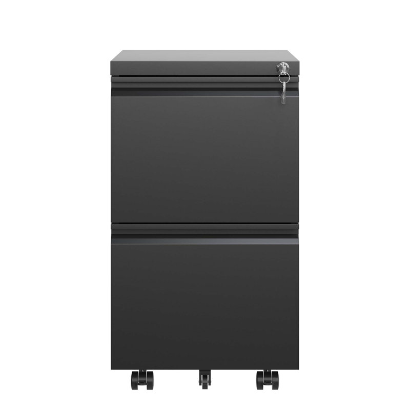 2 Drawer Mobile File Cabinet with Lock and Removable Hanging File Bar, Fully Assembled Except Wheels, Black
