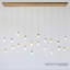 Leo 20 - Light LED Chandelier-286517500