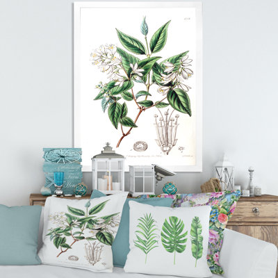 Vintage Botanicals X - peinture sur toile