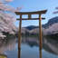 Portail japonais Torii Myojin