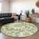 Premium Machine Washable Cerrito AMF551 Aloe Rug