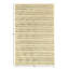 Rectangle Rectangle 5' X 7'11'' Area Rug