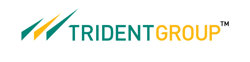 Trident logo