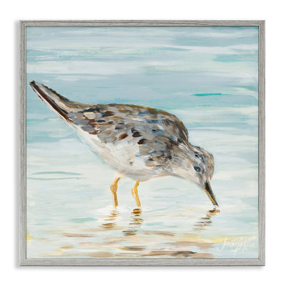 Sandpiper Hunting on Beach Coast Shallow Nautical Waters Graphic Art