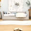 Structure de lit de jour simple rembourrée avec couchette-1022867145
