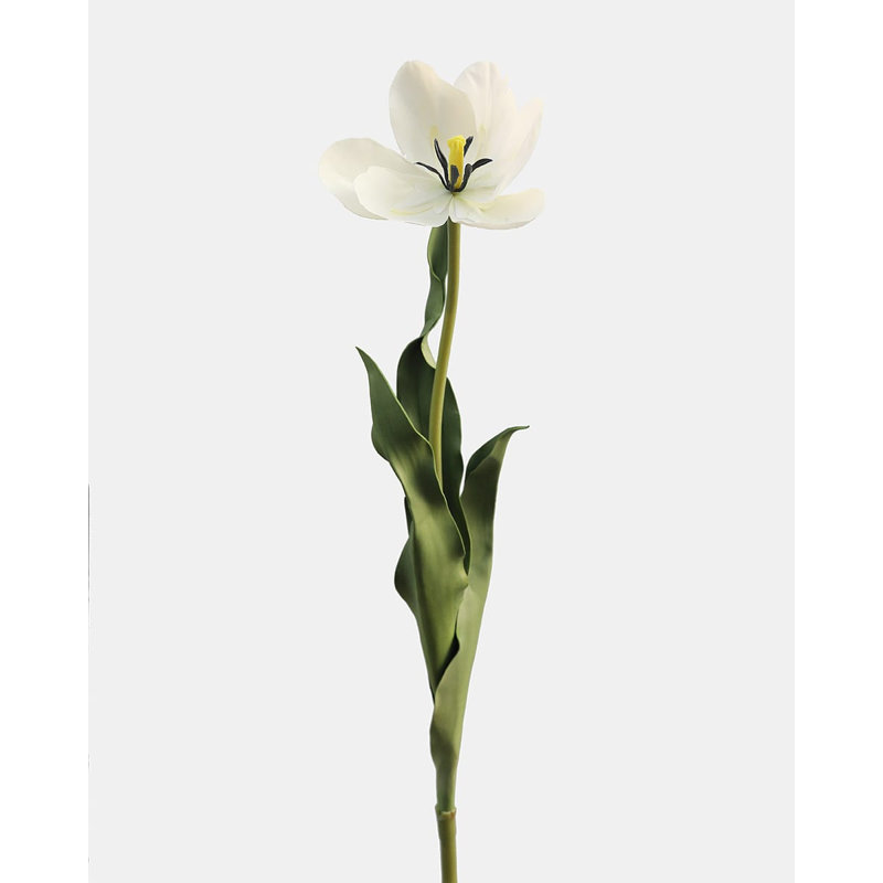 Yellow Orange Tulip 22.5", White