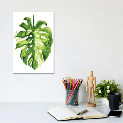 Monstera II by Grace Popp - Wrapped Canvas Print