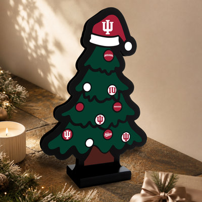 NCAA Indiana Hoosiers Infinity