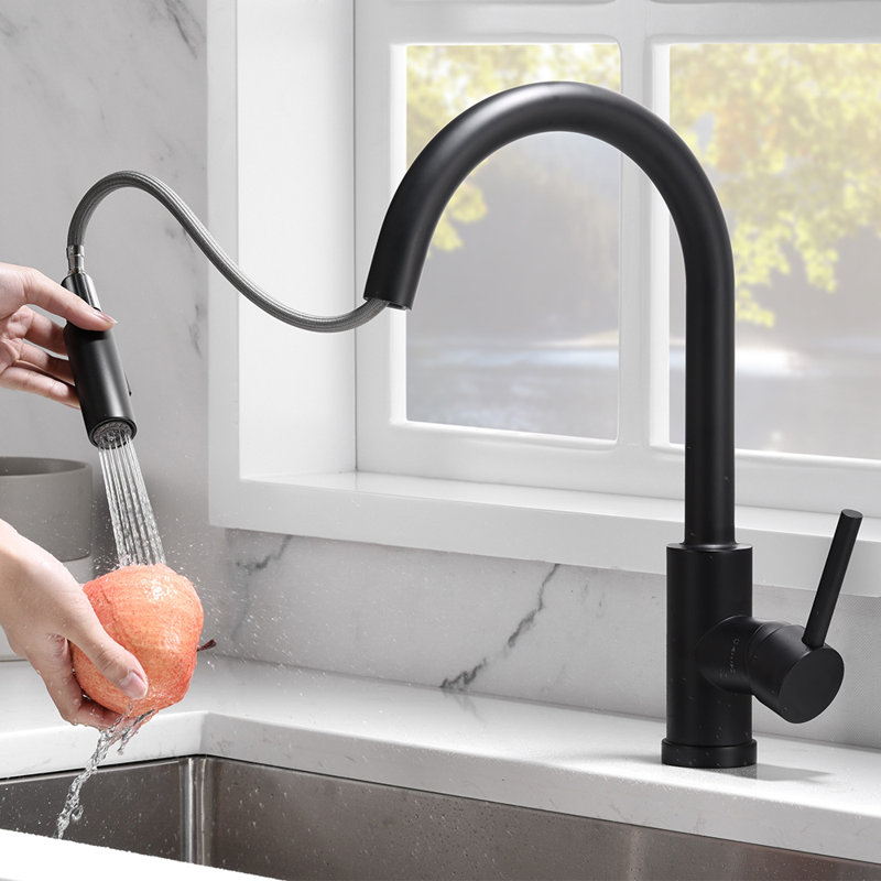 Matte Black Single-Hole Pull-Out Spray Kitchen Faucet