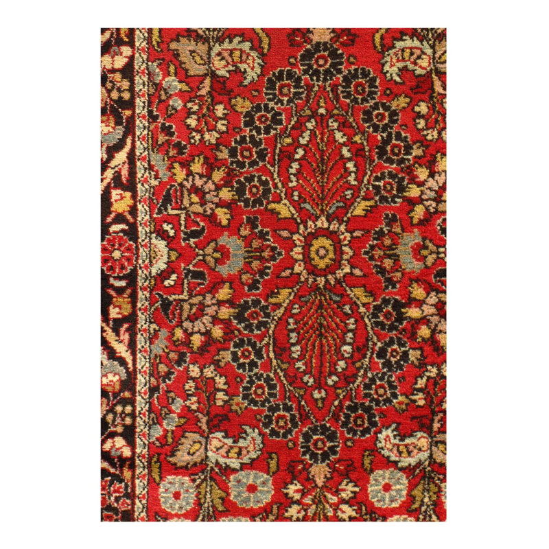 Oriental Area Rug in Rust