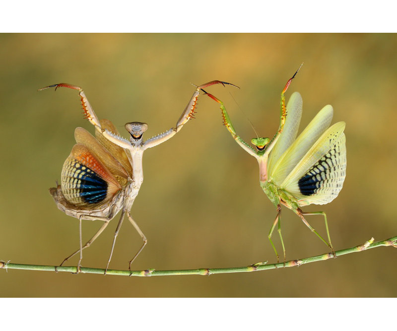 Wrapped Canvas Print, 81.28 cm H x 121.92 cm W