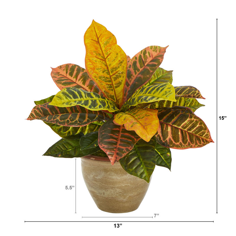 15'' Faux Croton Plant in Ceramic Planter
