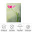«Tulipe printanière» sur impression sur toile-98094987