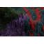 One-of-a-Kind 4’3x5’11 Hand Knotted Area Rug