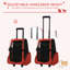 Steel Collapsible Pet Carrier-1380349932