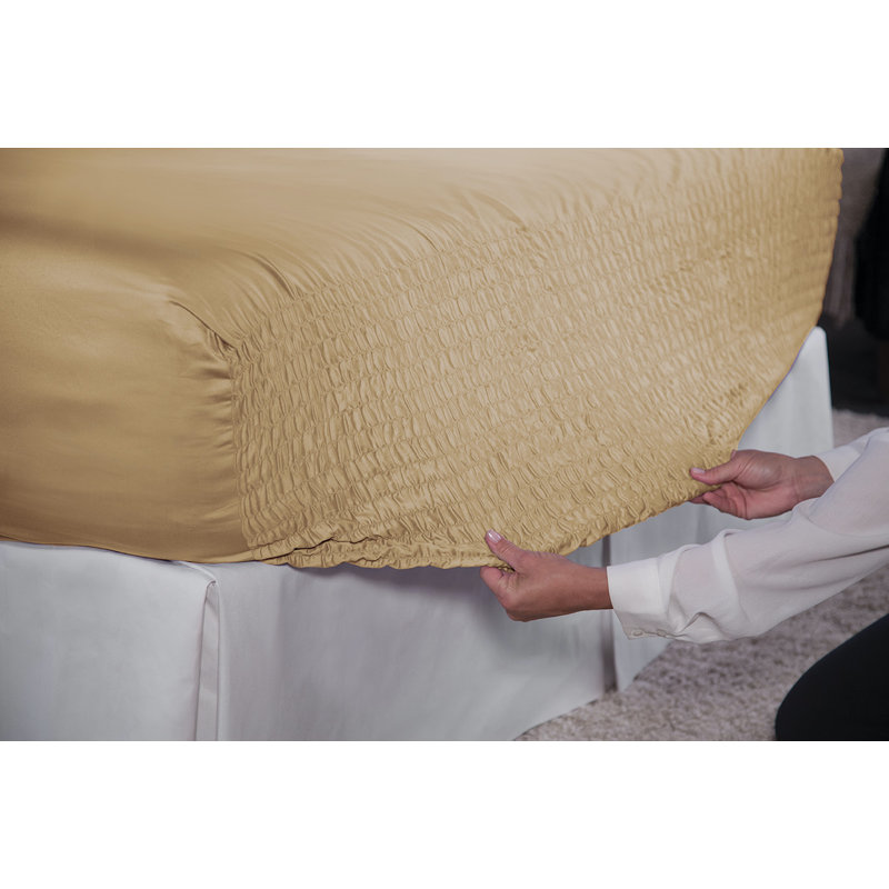 Ensemble de draps 500TC, Marron, Grand
