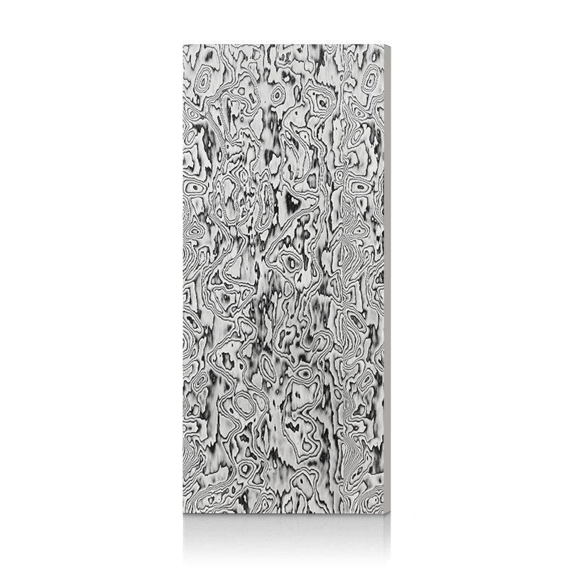 Dalle de porte intérieure en placage à noyau creux lisse noir et blanc, 24 po x 80 po