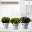 18cm Flowering Plant-102835264