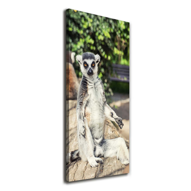 Lemur - Wrapped Canvas Print