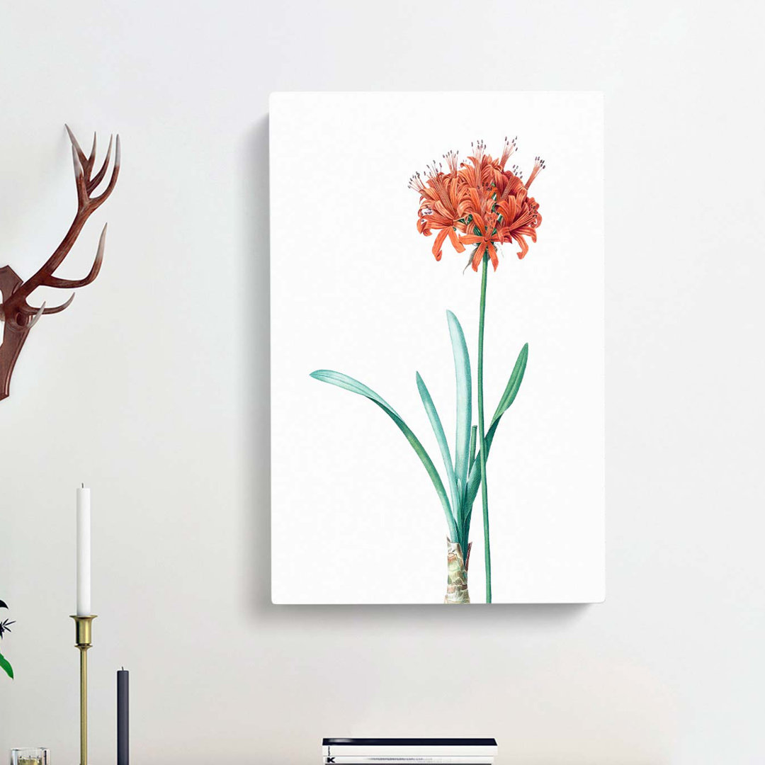 Guernsey Lily Flower by Pierre-Joseph Redoute - Wrapped Canvas