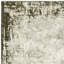 Abrienne Soft Shiny Border Green/Grey Rug-248801330