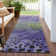 Chayil Area Rug with Non-Slip Backing
