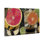 «Cocktail Hour» avec toile tranches de fruits, design par Annabelle Hall