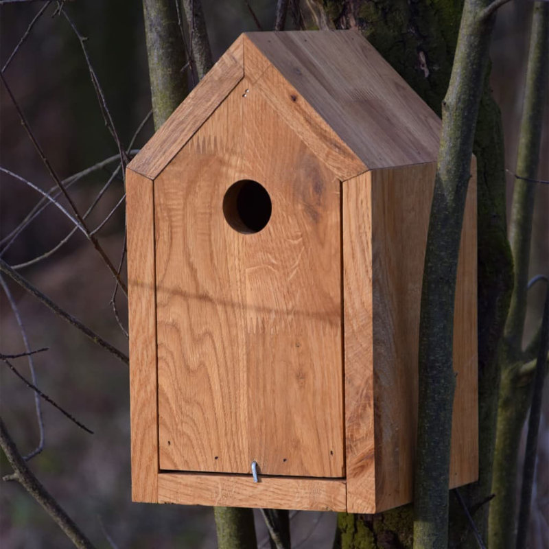 Oman Mounted Birdhouse