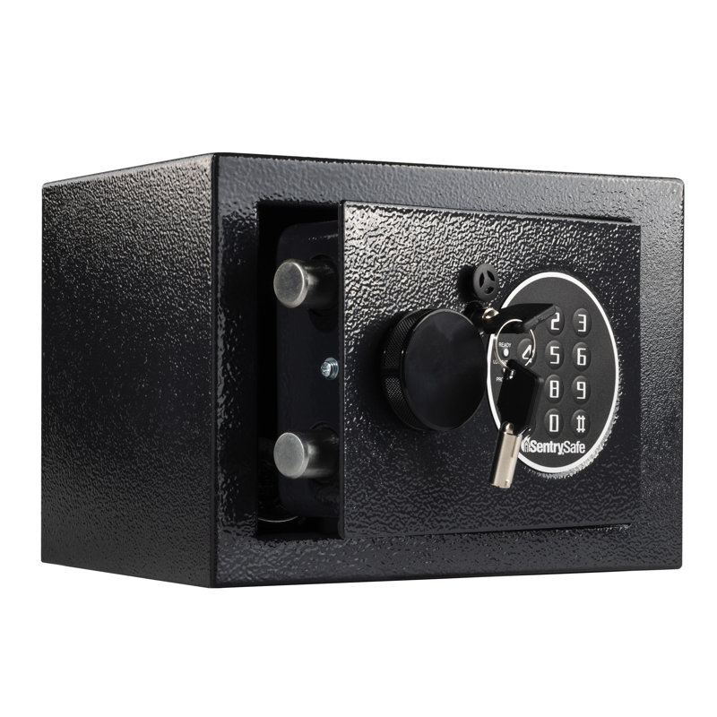 SentrySafe 0.14 CuFt Security Safe with Digital Keypad Dual-Lock