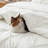 Bedsure Twin-XL Pintuck Bed-in-a-Bag- Ivory Pinch Pleat Comforter with Sheets, Pillowcases & Shams-101518307-101518301