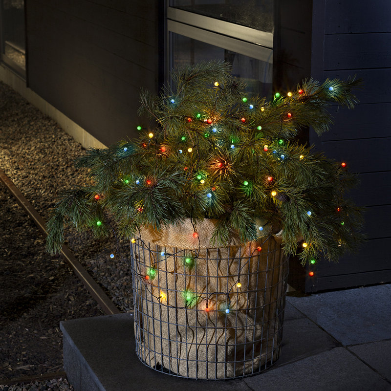 Berry String Lighting, Multi-coloured