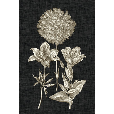 Dramatic Chintz IV by Vision Studio - Wrapped Canvas Print