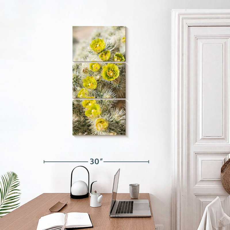 Cholla cactus, H 32 po x l 15 po
