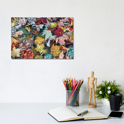 Autumn Debris by Jerry Lee Kirk - Wrapped Canvas Gallery-Wrapped Canvas Giclée