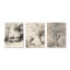 «Vintage Forest in English Countryside - Beige Trees», ensemble de 3 toiles encadrées-129076208-129076203
