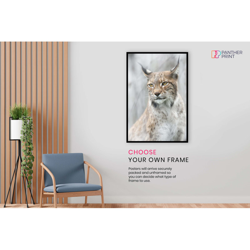 Panther Print Fine Art Prints - No Frame Print, 31cm H x 20cm W